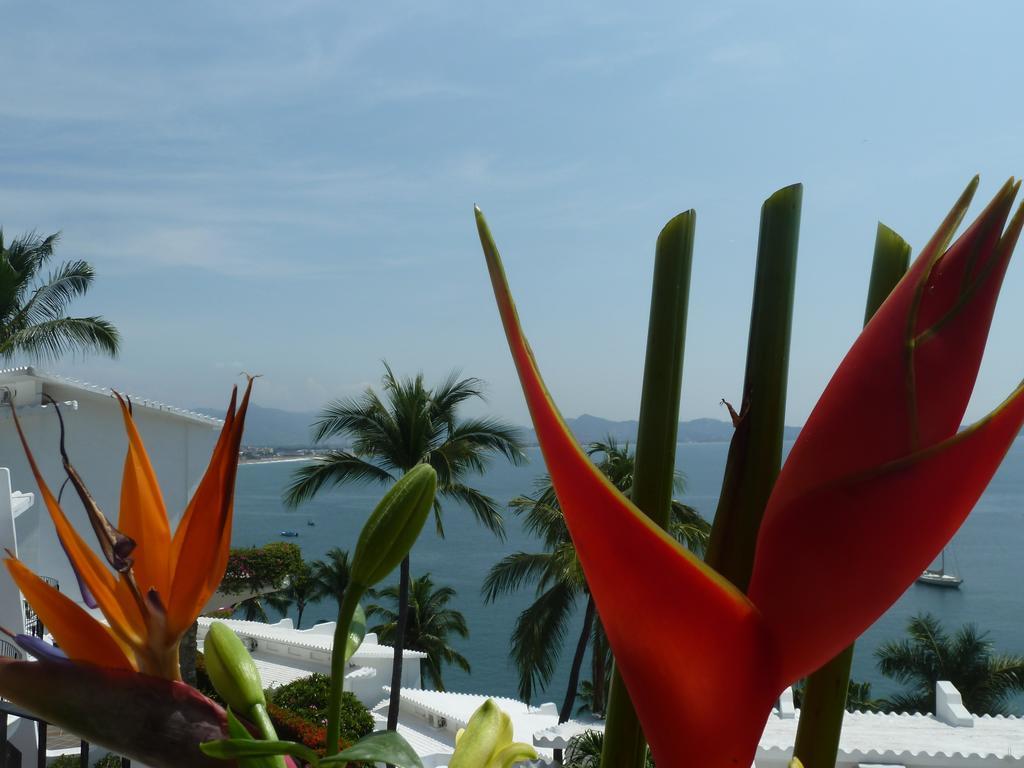 Dolphin Cove Inn Manzanillo Eksteriør billede