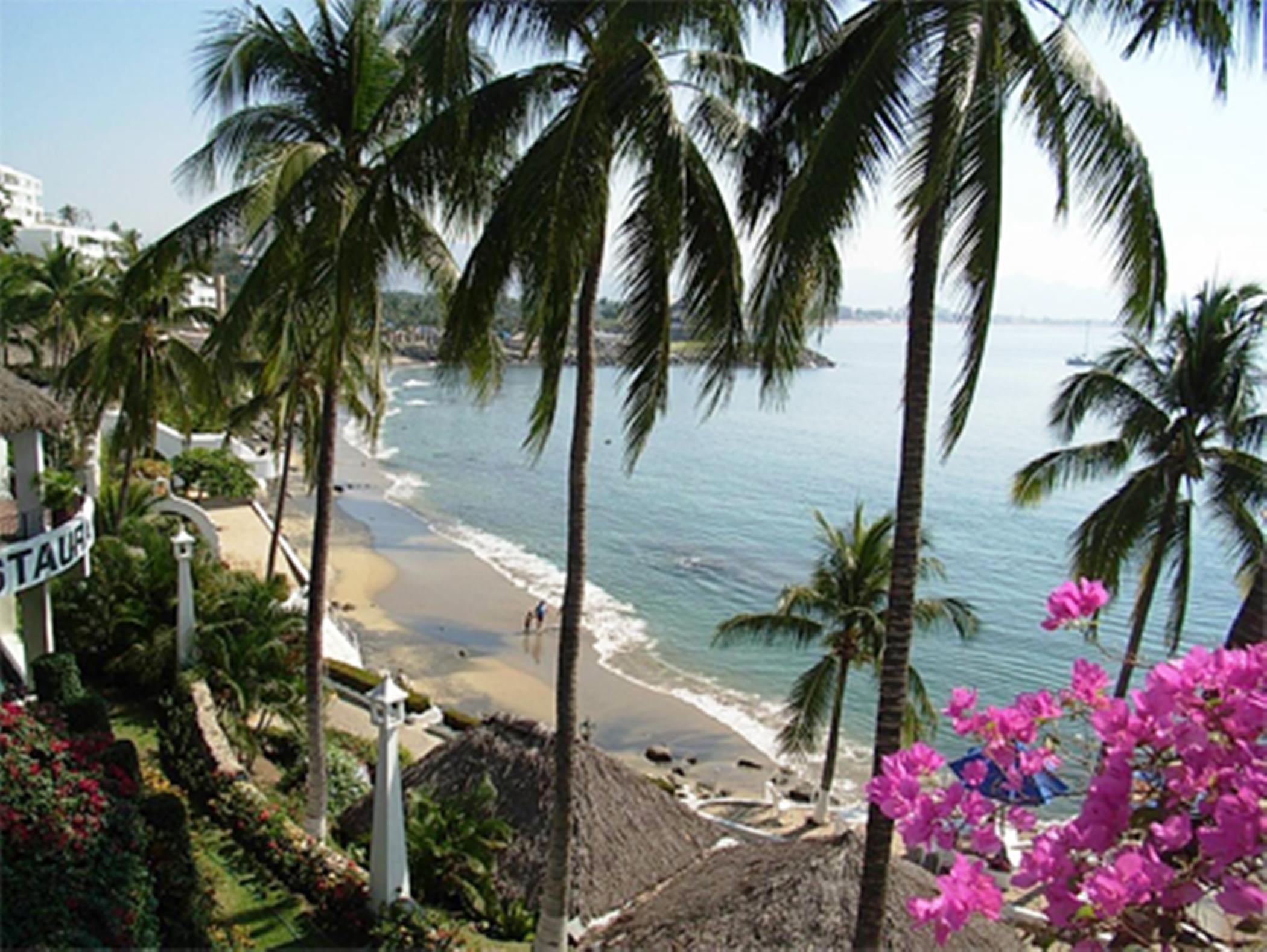 Dolphin Cove Inn Manzanillo Eksteriør billede