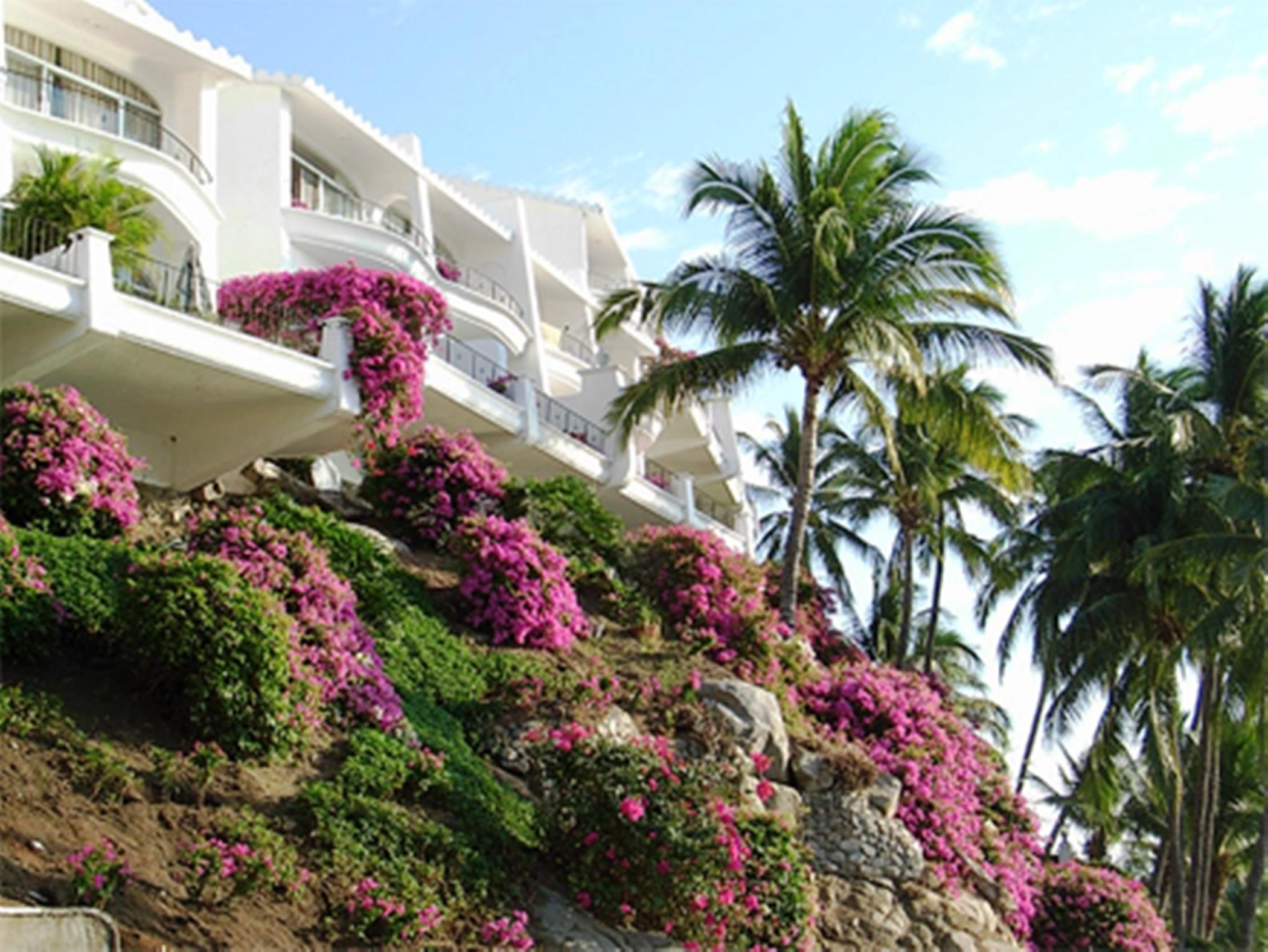 Dolphin Cove Inn Manzanillo Eksteriør billede
