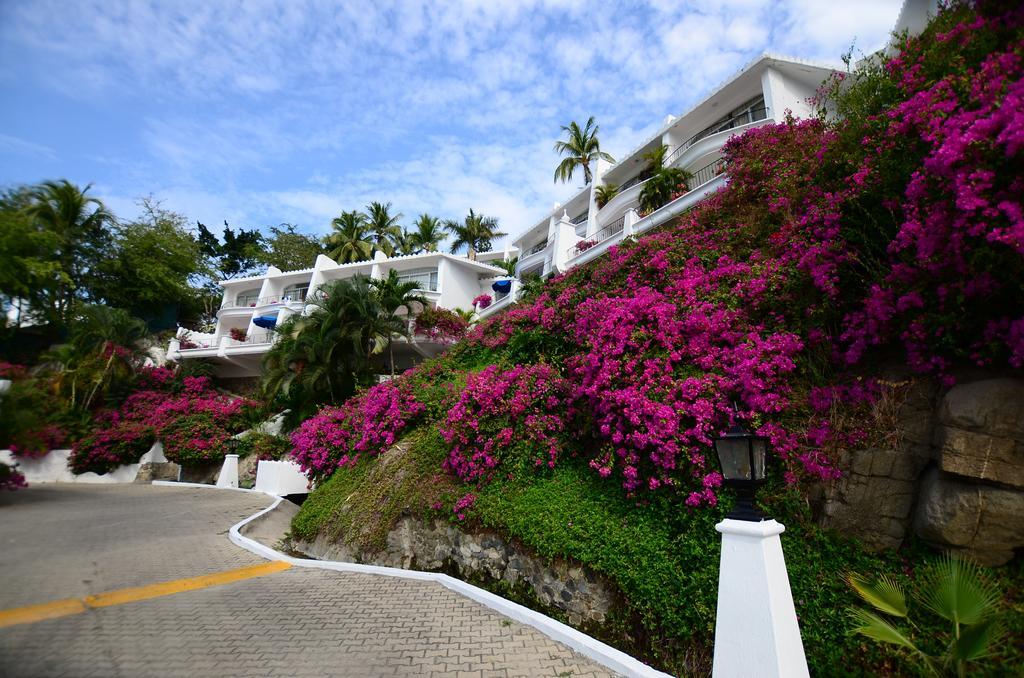 Dolphin Cove Inn Manzanillo Eksteriør billede